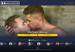 Gaydar